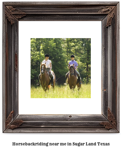 horseback riding near me in Sugar Land, Texas